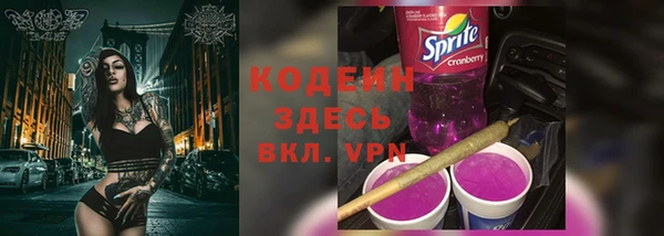 экстази Бикин